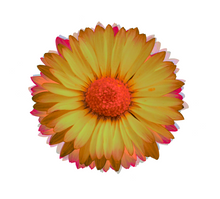 Load image into Gallery viewer, Neon Daisies